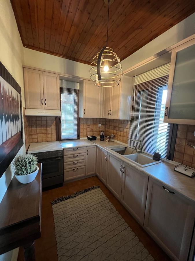 Апартаменти House In The Woods Кардиця Екстер'єр фото