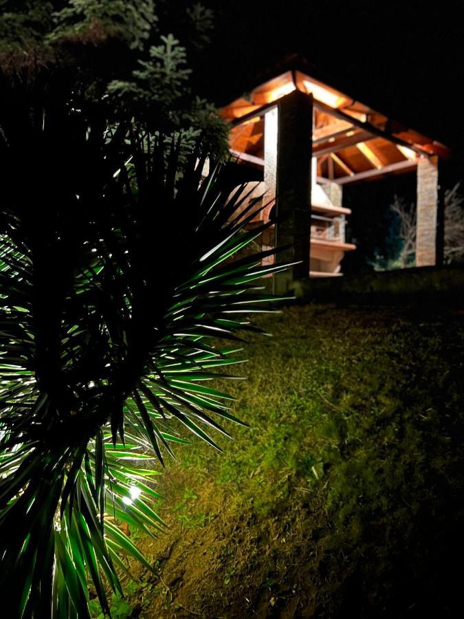 Апартаменти House In The Woods Кардиця Екстер'єр фото